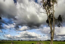 星空体育：勇士42分狂胜马刺巩固西部第六 库里13+6.