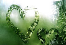 [图]浓眉40+16詹姆斯18+8+8 终结灰熊4连胜.