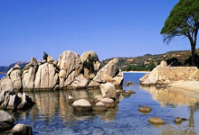 [网球]郑钦文晋级女单16强 刷新个人赛会最佳战绩.